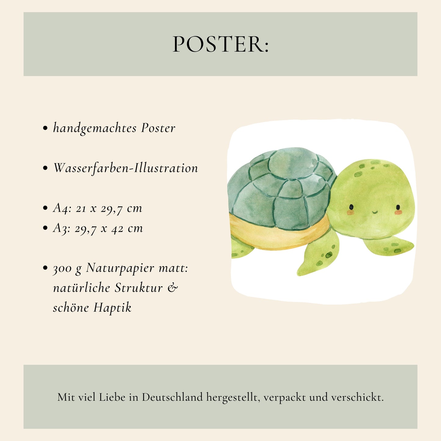 Poster Schildkröte A3 & A4