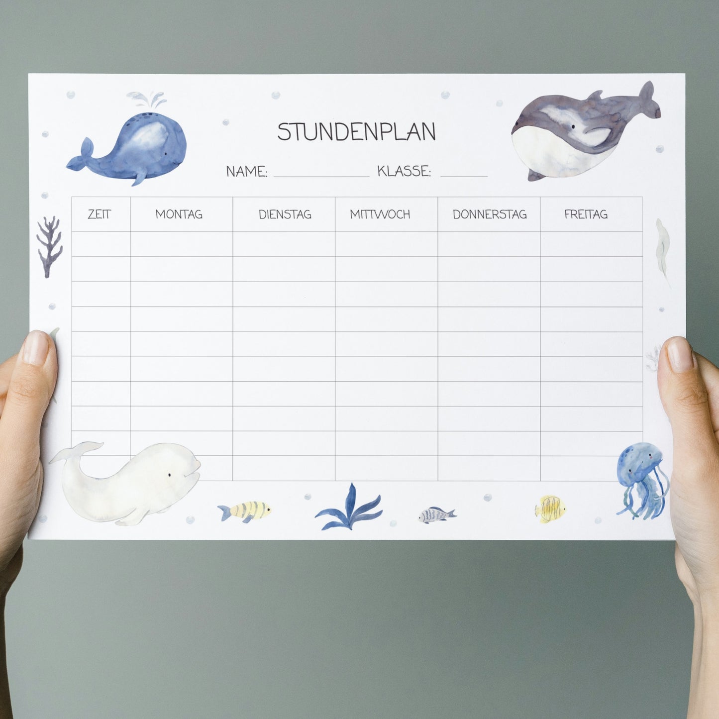 Stundenplan Wale A4: Leeres Stundenplanblatt mit Meeresmotiven, darunter Wale und Quallen. Zeilen für Name, Klasse und Wochentage. Wiederverwendbar mit abwischbarem Marker.