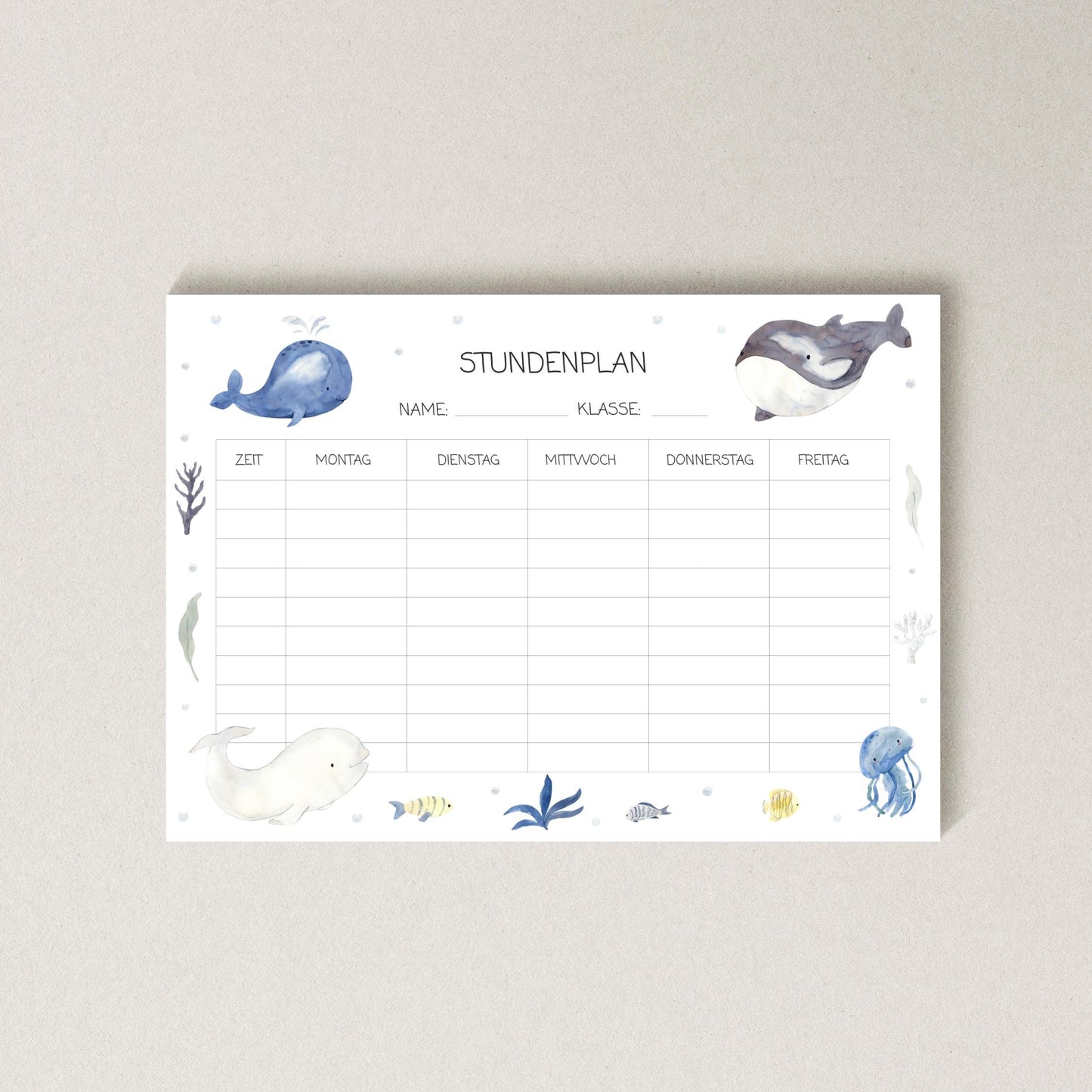 Stundenplan Wale A4 mit blauen Wal-Illustrationen auf weißem Papier, laminiert, wiederverwendbar mit abwischbarem Marker. Perfekt für Schulanfangsgeschenke.