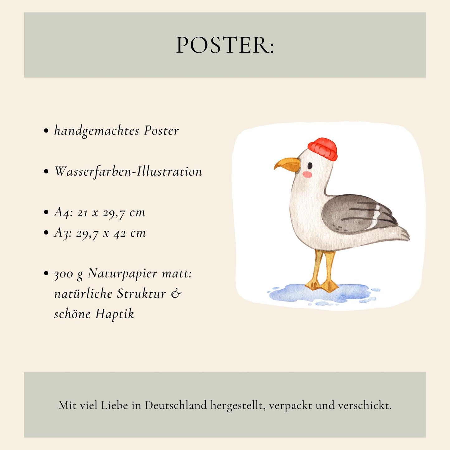 Poster Möwe A4 & A3