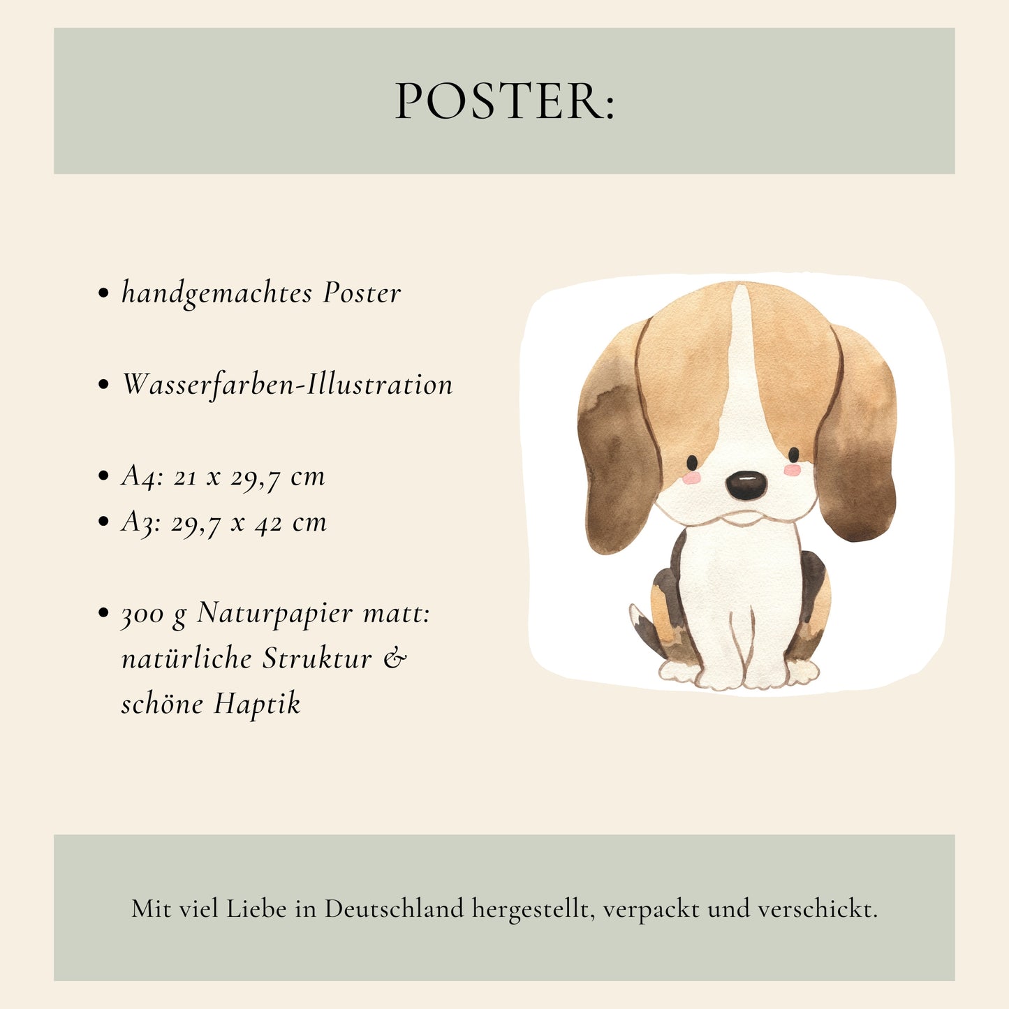 Poster Hund Beagle A3 & A4