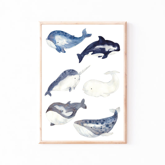Poster Wale A4 & A3: Sechs handgemalte Wale wie Beispiel. Orca, Narwal und Pottwal, ideal als beruhigende Kinderzimmerdeko, gedruckt auf hochwertigem, mattem 300g Naturpapier. Gerahmt.