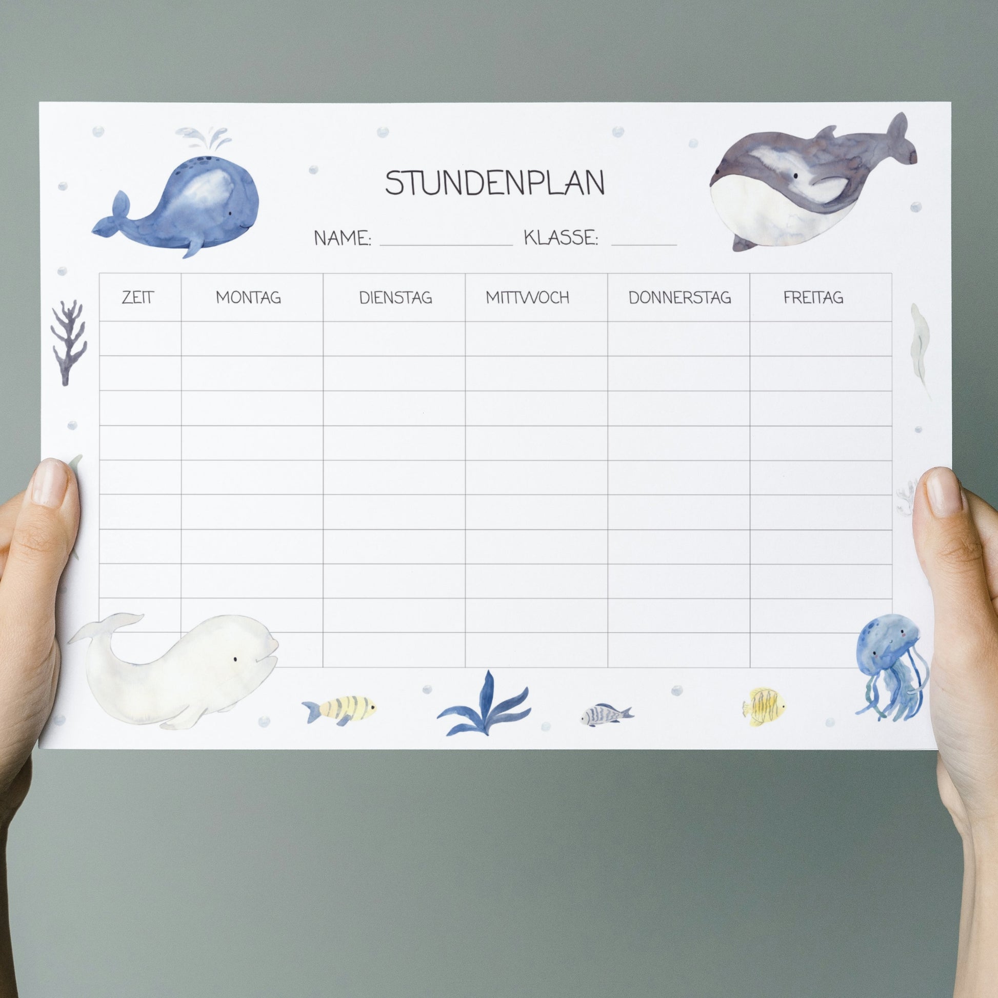 Stundenplan Wale A4: Leeres Stundenplanblatt mit Meeresmotiven, darunter Wale und Quallen. Zeilen für Name, Klasse und Wochentage. Wiederverwendbar mit abwischbarem Marker.