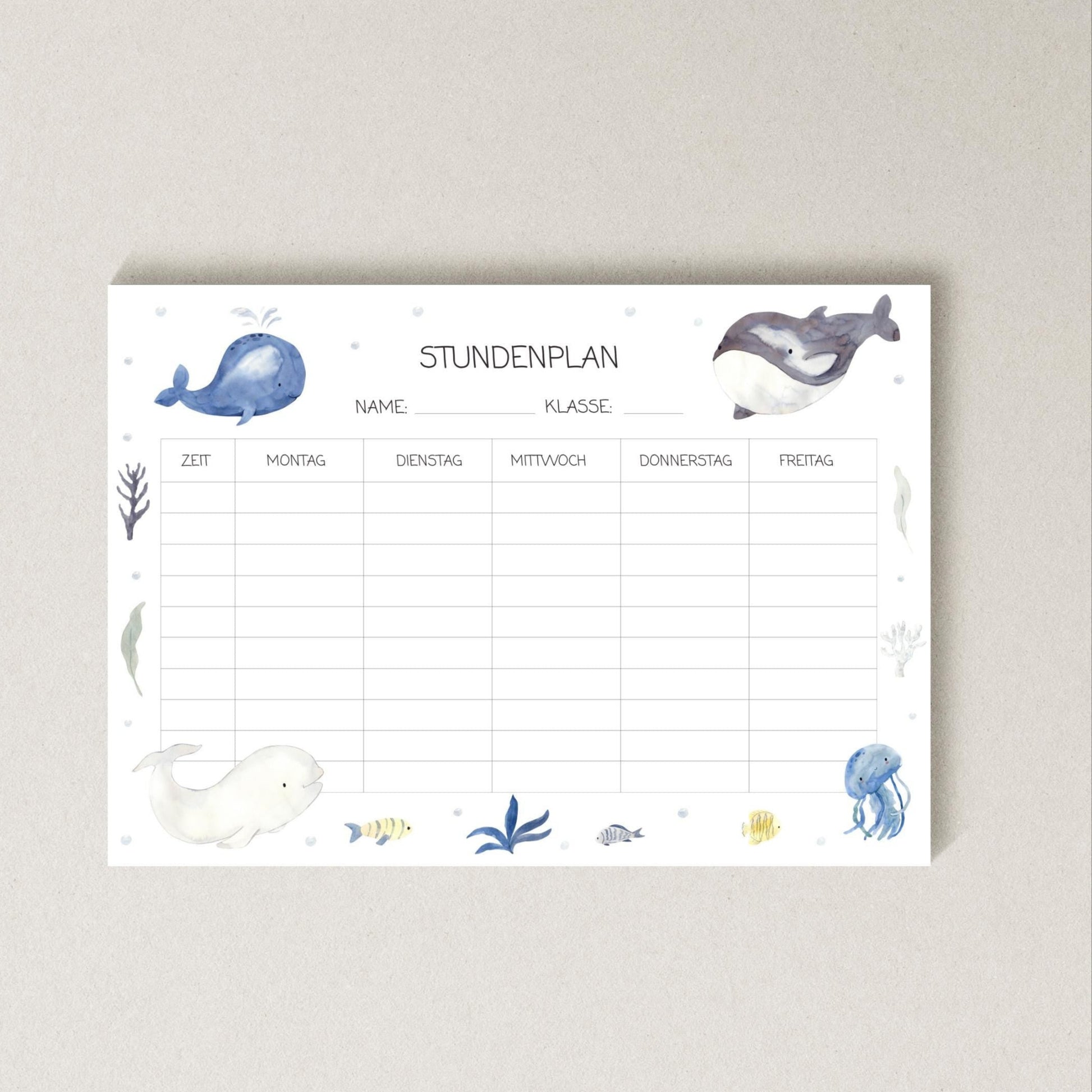 Stundenplan Wale A4 mit blauen Wal-Illustrationen auf weißem Papier, laminiert, wiederverwendbar mit abwischbarem Marker. Perfekt für Schulanfangsgeschenke.
