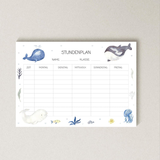 Stundenplan Wale A4 mit blauen Wal-Illustrationen auf weißem Papier, laminiert, wiederverwendbar mit abwischbarem Marker. Perfekt für Schulanfangsgeschenke.