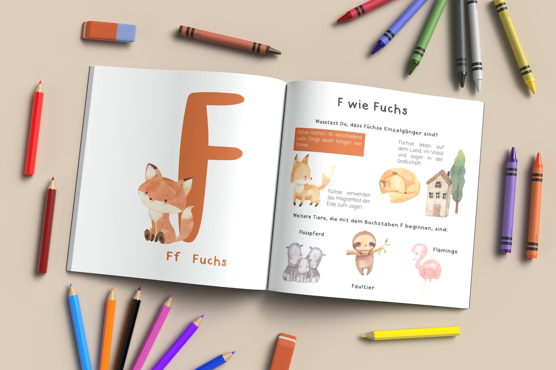 Alphabet Buch - ABC der Tiere aufgeschlagen, ein Hardcover-Buch mit fantasievollen Tierillustrationen und kindgerechten Informationen, um Kindern spielerisch das Alphabet beizubringen.