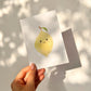 Postkarten-Set Früchte 6 Karten A6: Sechs liebevoll gestaltete Karten mit Fruchtmotiven, gedruckt auf stabilem, mattem 300g Naturpapier, ideal für Grüße oder Dekoration.